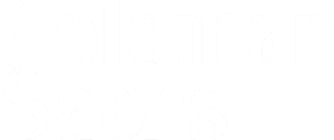 Goldman Sachs_Logo_1 1